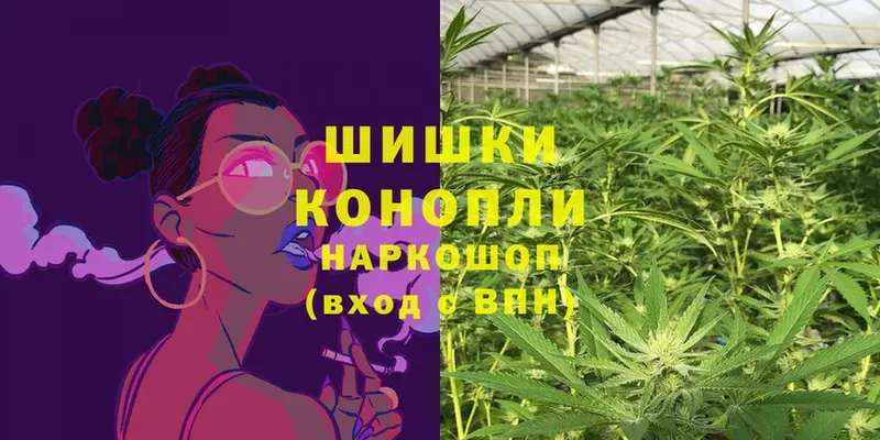 купить наркотик  KRAKEN ССЫЛКА  Бошки марихуана White Widow  Дмитриев 